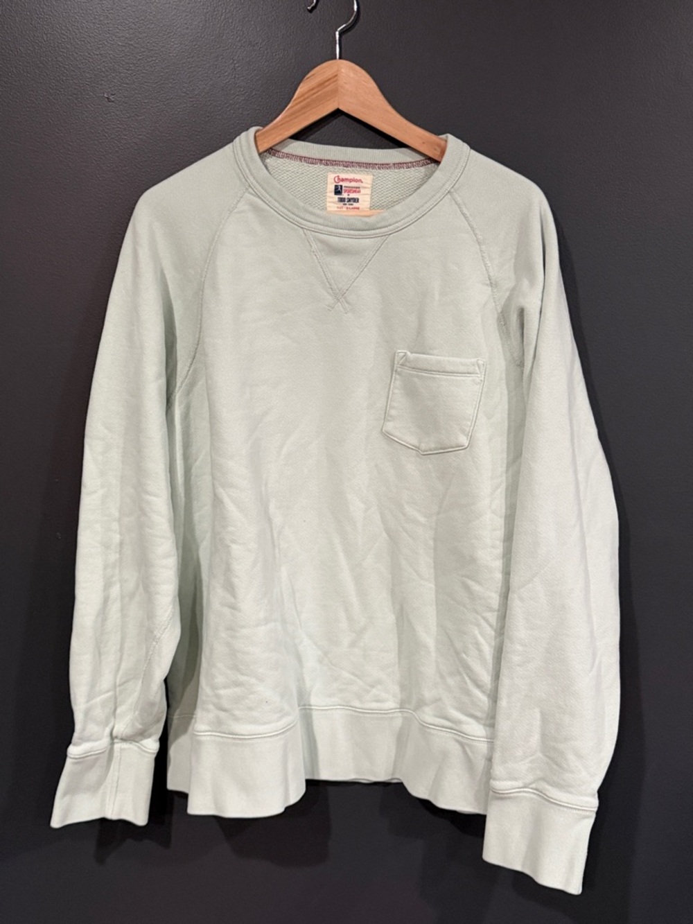 Champion Tod Snyder Men's Crewneck Sweatshirt - Sage Green